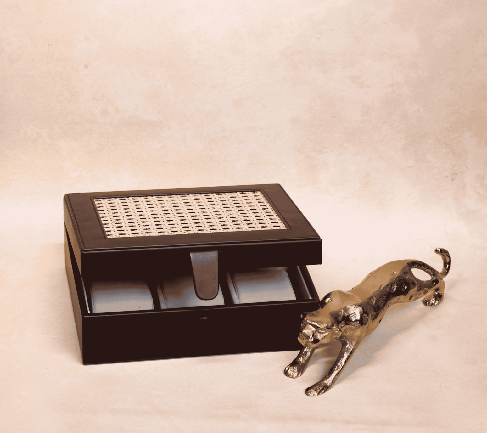 Watch Box - 6khan