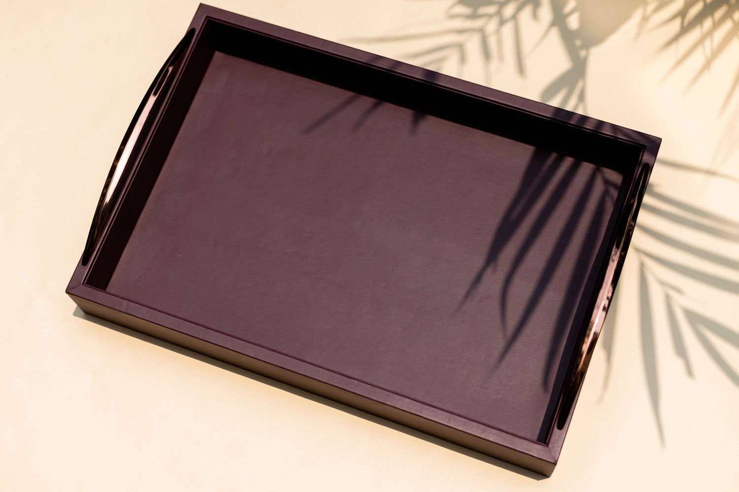 Acier Rec Tray - M