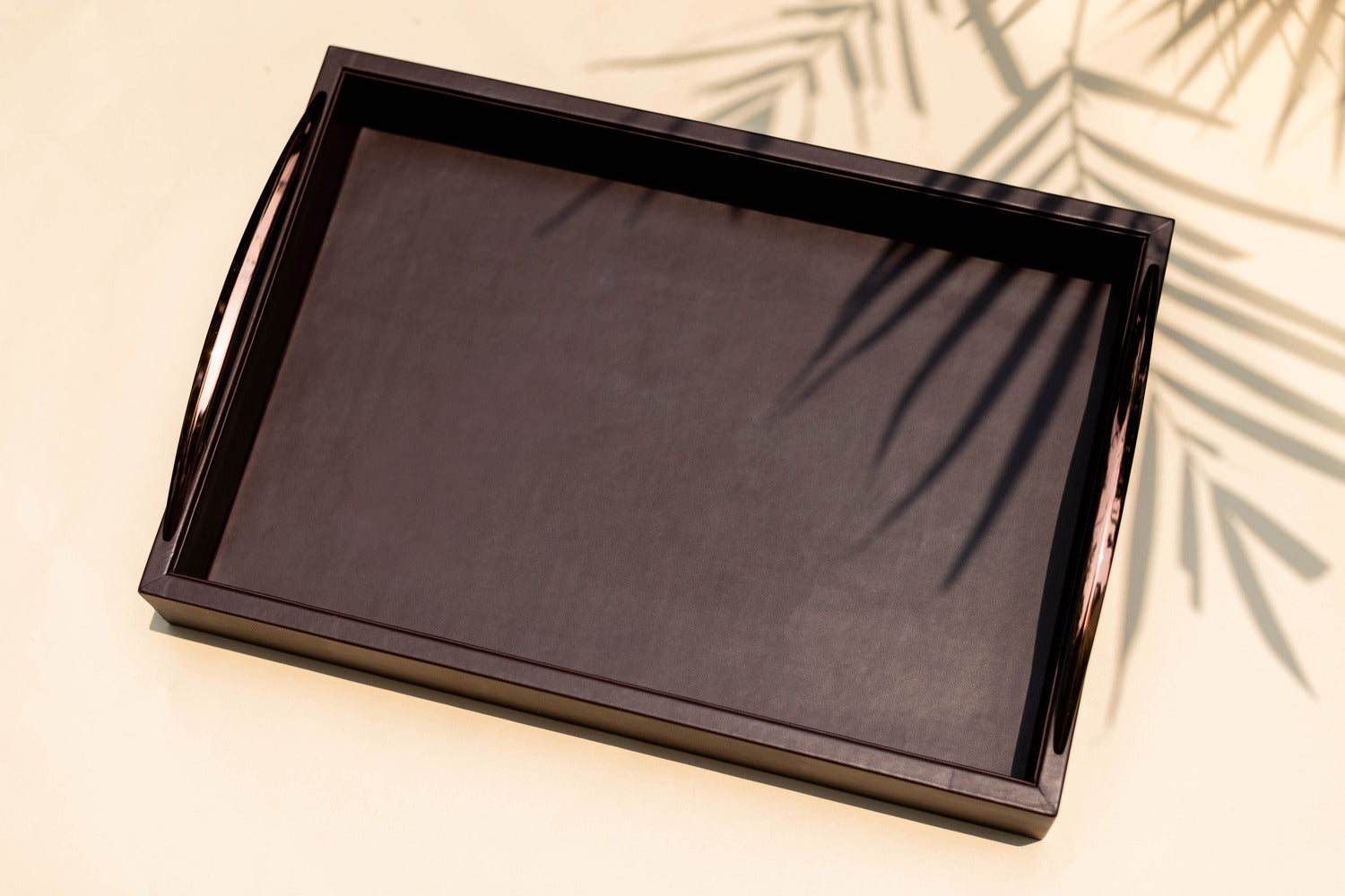 Acier Rec Tray - M