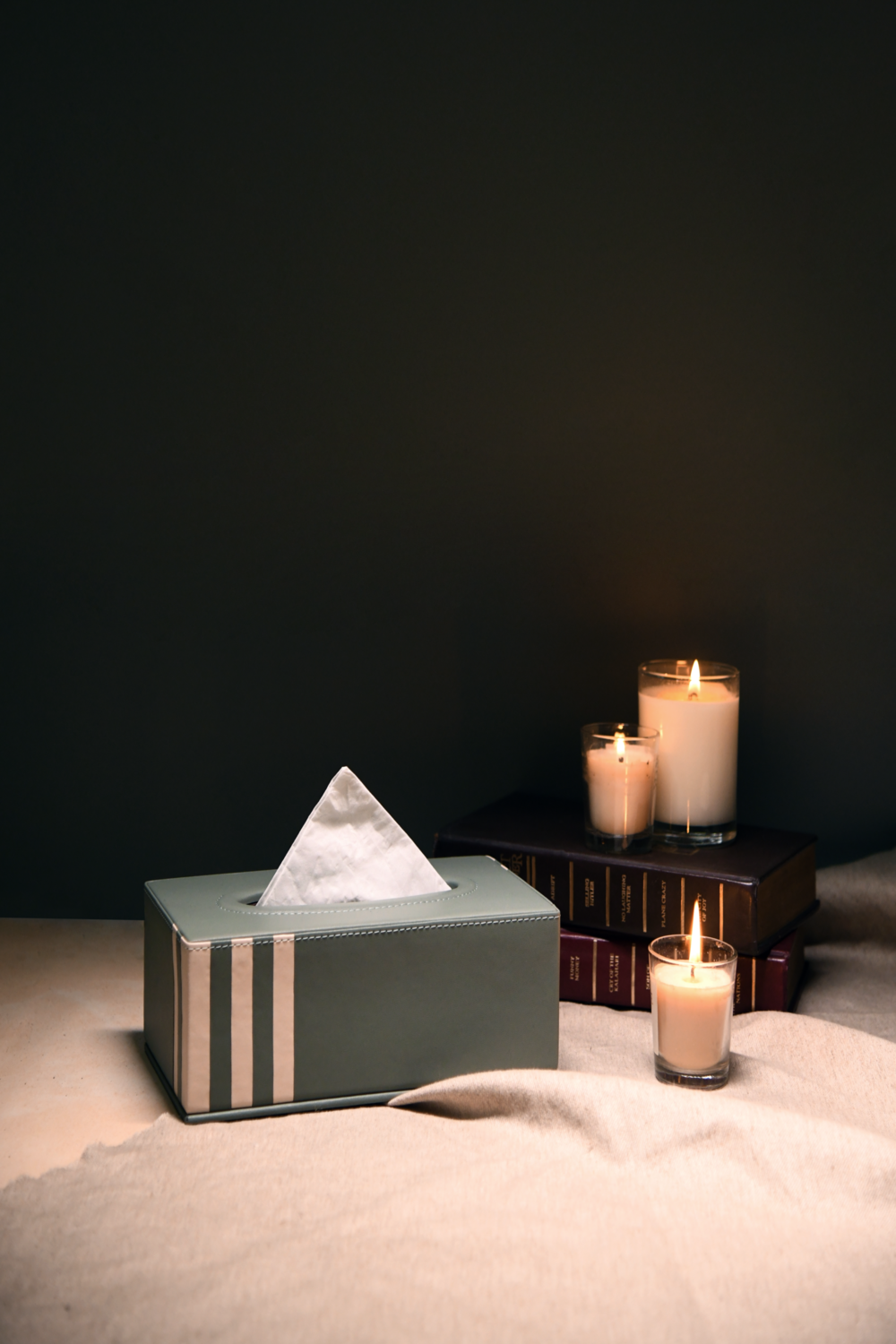 Alter Ego Tissue Box