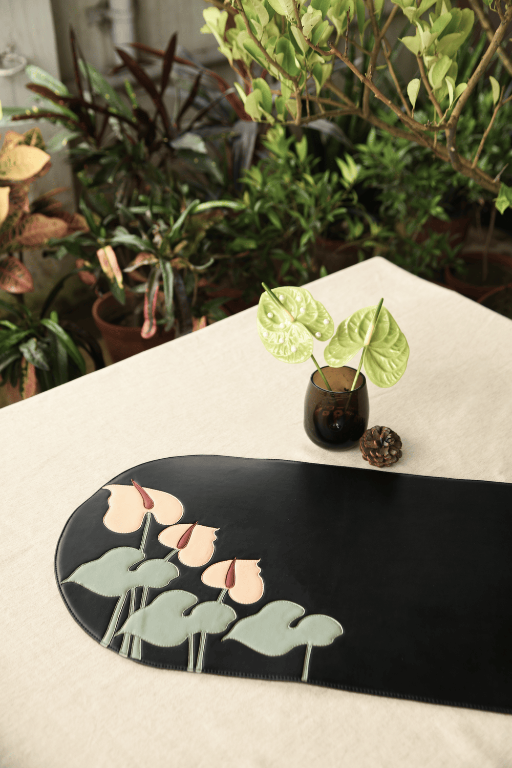 Anthurium Runner