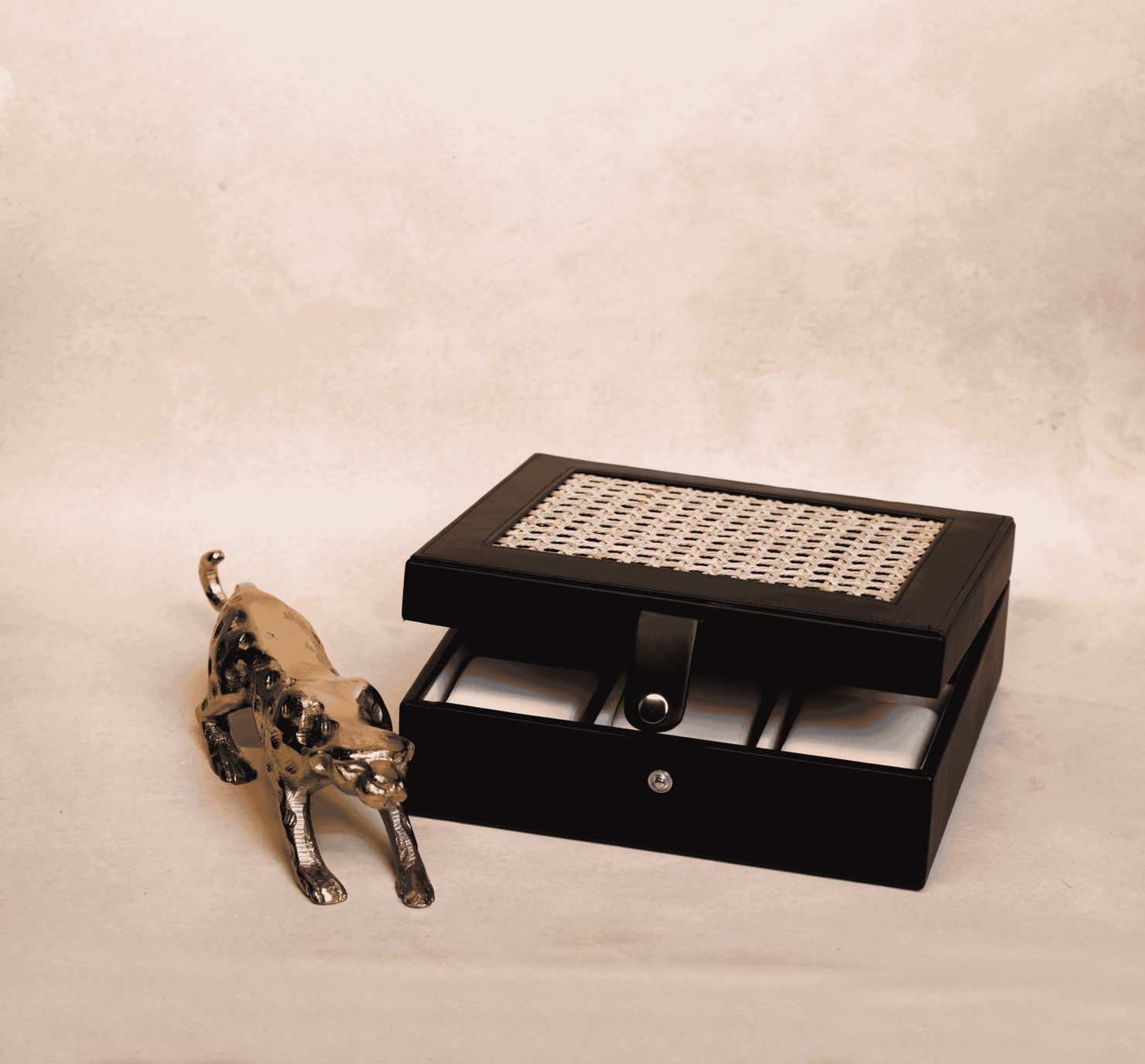 Watch Box - 6khan